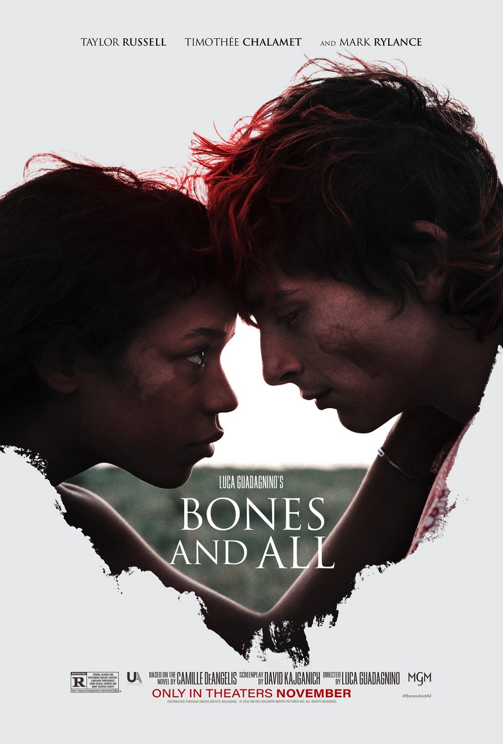 Stockholms filmfestival 2022: Bones and All